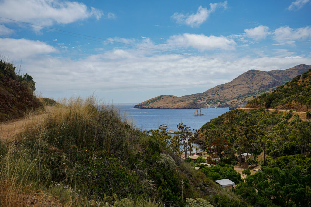 Catalina Hike to Parsons Landing